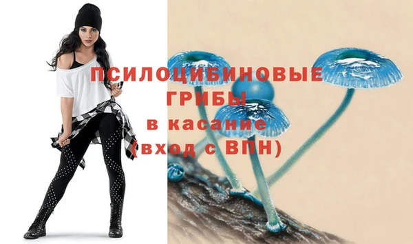 не бодяженный Богородицк