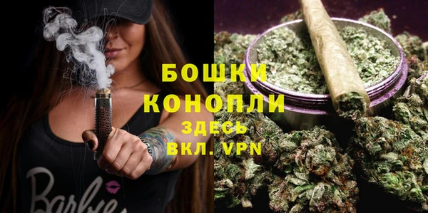 PSILOCYBIN Богородск