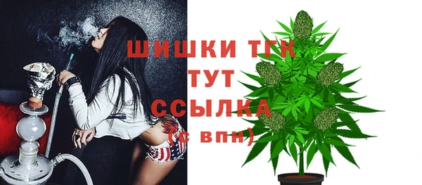 PSILOCYBIN Богородск