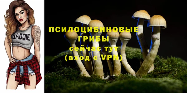 PSILOCYBIN Богородск