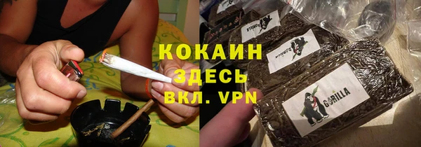 мдпв Богданович