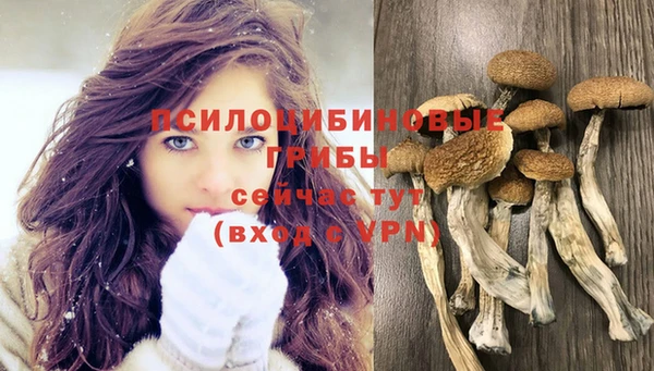 мдпв Богданович